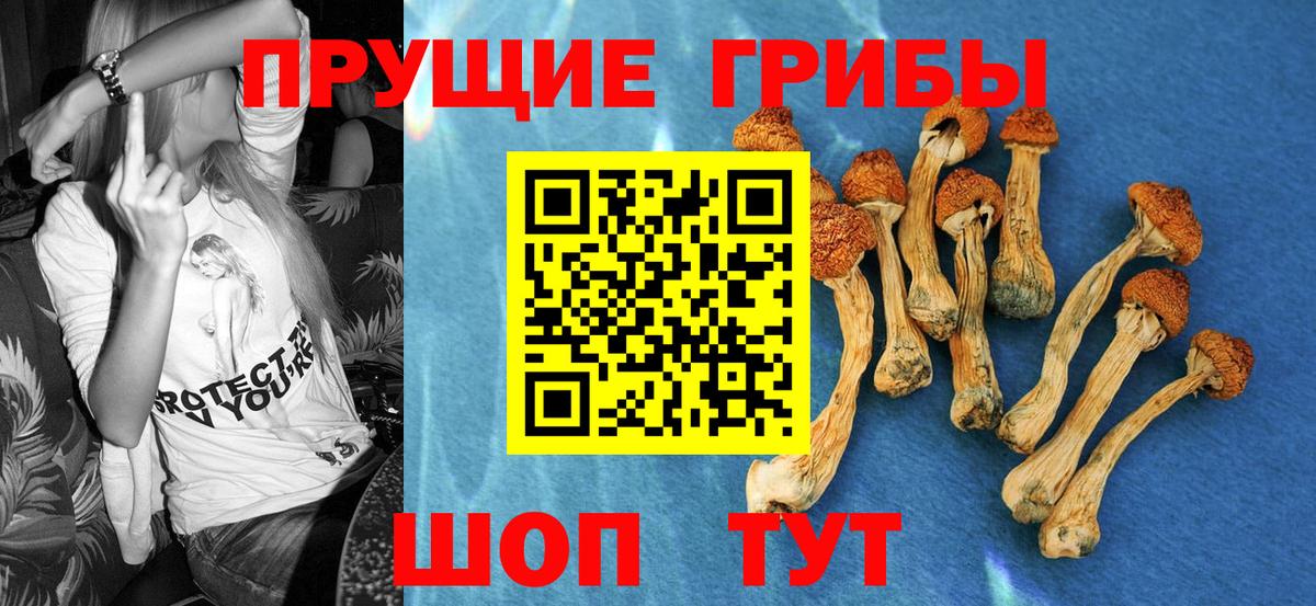 Галлюциногенные грибы Magic Shrooms  Галлюциногенные грибы мухоморы  сколько стоит  Кисловодск  Вход с VPN 