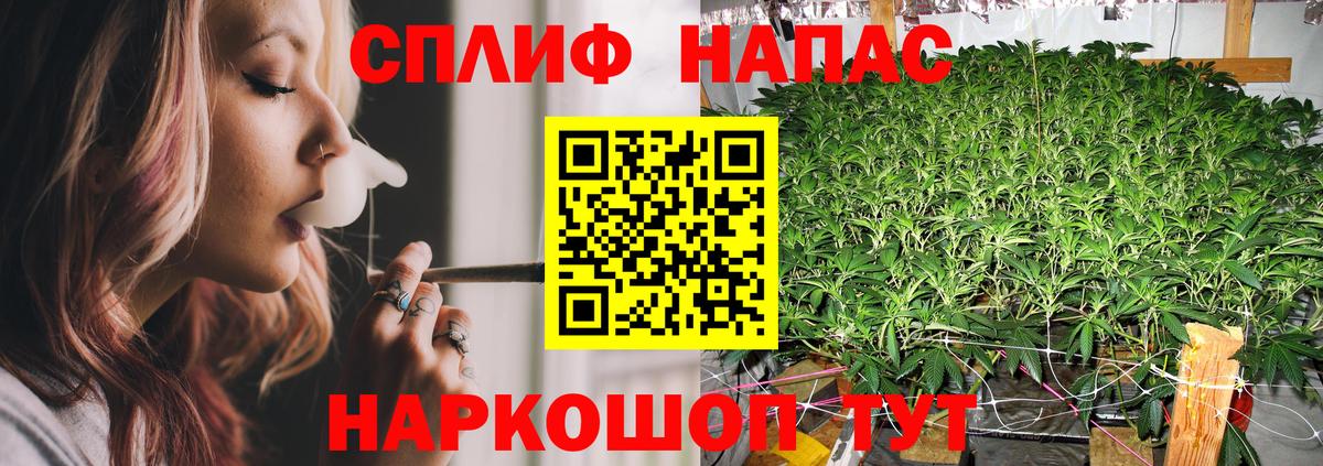 МАРИХУАНА MAZAR Кисловодск
